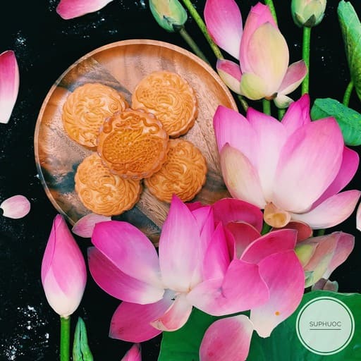 Mooncake pink lotus 01