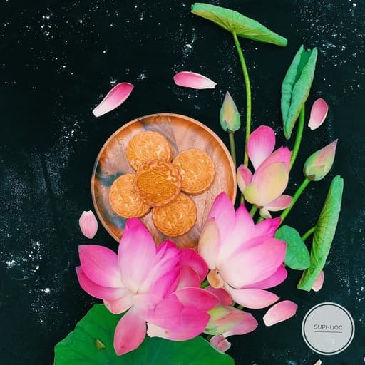 Mooncake pink lotus 02