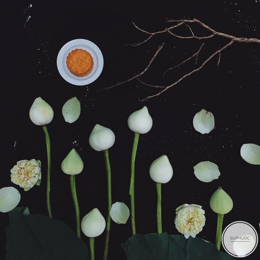 Mooncake white lotus 04