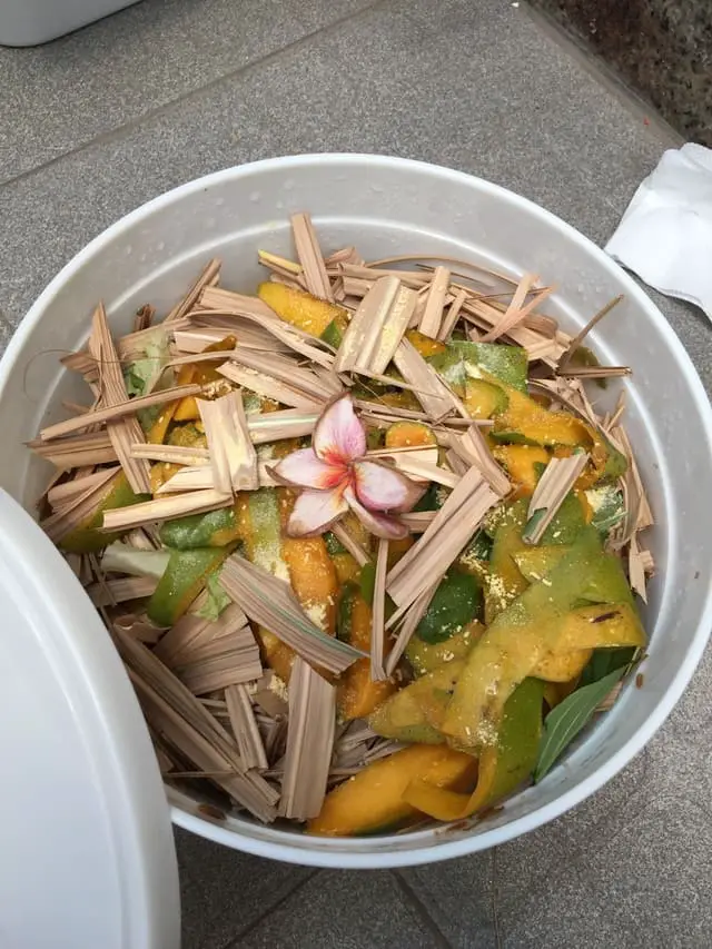 Bokashi with a flower