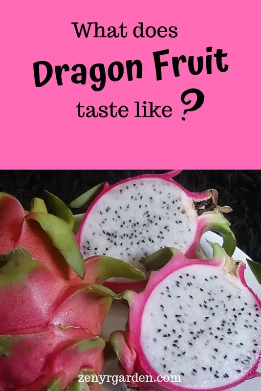 What Does Dragon Fruit Taste Like: Different Flavors